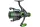 CZ31009.jpg