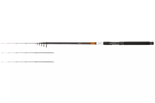 CZ3879.jpg