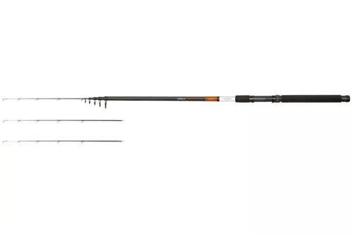 CZ3879_001.jpg
