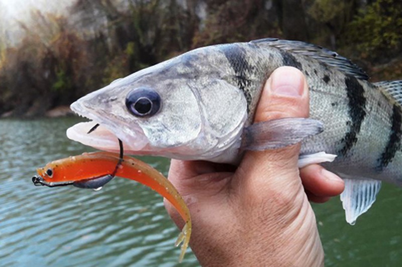 Finomhangolás a pergetésben