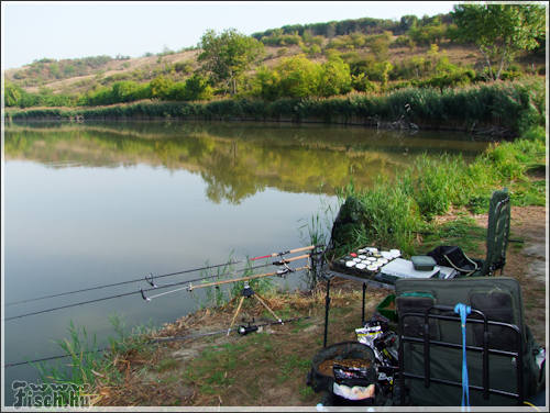 Különleges csalizási technikák