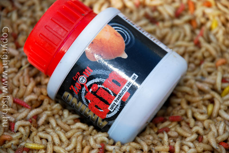 Maggot Top TEN